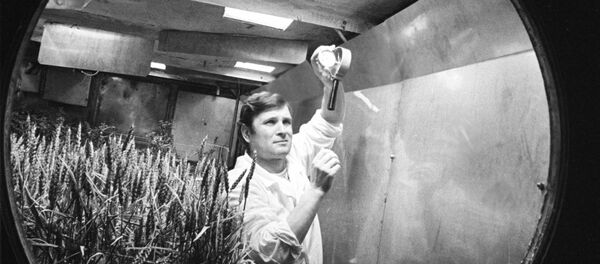 BIOS-3 封闭生态系统 BIOS-3 封闭生态系统 - 俄罗斯卫星通讯社