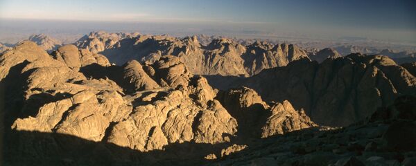 西奈半島 - 俄羅斯衛星通訊社