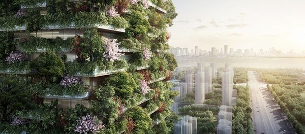 两年后中国将建成森林城市 - 俄罗斯卫星通讯社