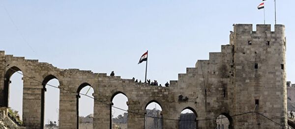 中國政府敘問題特使解曉岩:中國歡迎俄羅斯在敘制憲問題上提供的幫助 中國政府敘問題特使解曉岩:中國歡迎俄羅斯在敘制憲問題上提供的幫助 - 俄羅斯衛星通訊社