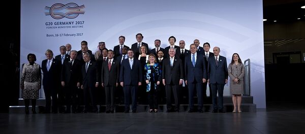 二十国集团 二十国集团 - 俄罗斯卫星通讯社