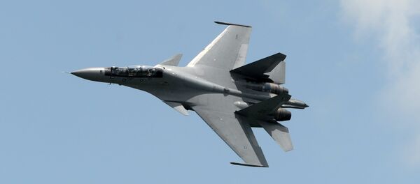 蘇-30殲擊機 - 俄羅斯衛星通訊社