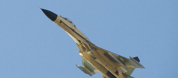 媒体：俄海军航空兵2017年将接装5架苏-30SM战机 - 俄罗斯卫星通讯社