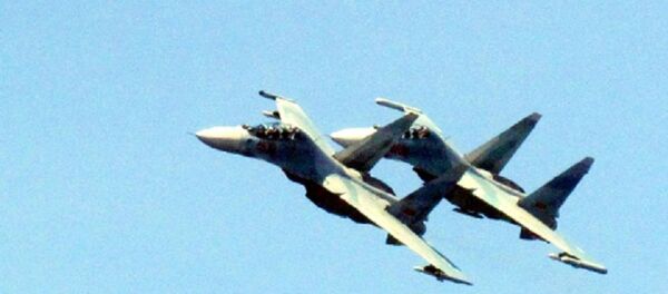 越南苏-30 - 俄罗斯卫星通讯社