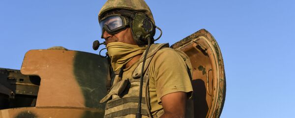 埃尔多安称俄土就在叙“幼发拉底河之盾”行动无分歧 - 俄罗斯卫星通讯社