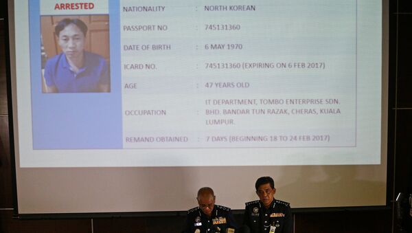 韩国政府认为刺杀金正男行动是朝鲜政府主使 - 俄罗斯卫星通讯社