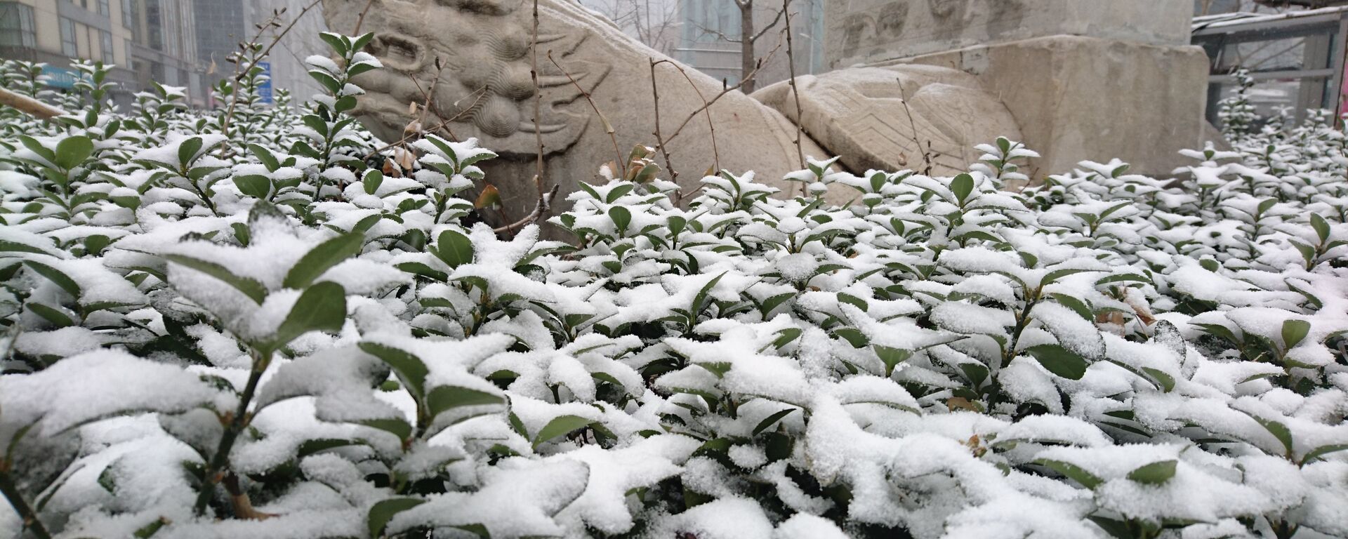 北京迎來一年來最大一場降雪，這對北京的春天來說實屬反常。 - 俄羅斯衛星通訊社, 1920, 19.12.2023
