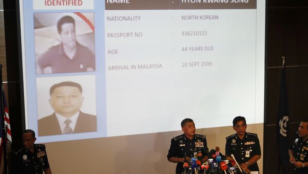 涉嫌杀害金正恩兄长的印尼籍女子可回国 - 俄罗斯卫星通讯社