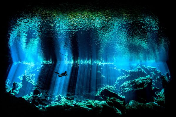 2017水下攝影大賽獲獎作品 - 俄羅斯衛星通訊社