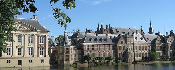 荷蘭議會 - 俄羅斯衛星通訊社