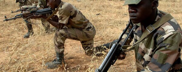 尼日尔军队 - 俄罗斯卫星通讯社