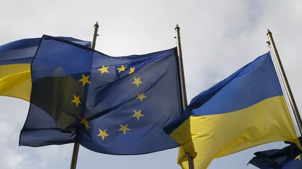 荷兰完成欧盟与乌克兰联系国协定批准程序 - 俄罗斯卫星通讯社