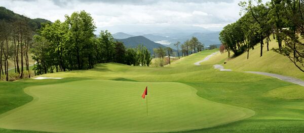 乐天董事会决定为部署萨德供地 - 俄罗斯卫星通讯社