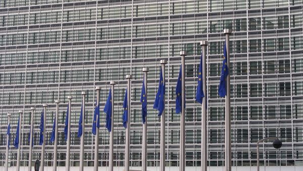 欧盟加强对朝制裁 扩大投资和服务领域限制 - 俄罗斯卫星通讯社