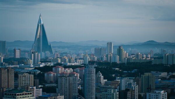 朝鮮代表：平壤將保持戰備 美韓演習系挑釁 - 俄羅斯衛星通訊社