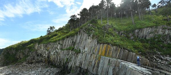 首個日本旅遊團將於10月中旬訪問國後島和擇捉島 - 俄羅斯衛星通訊社