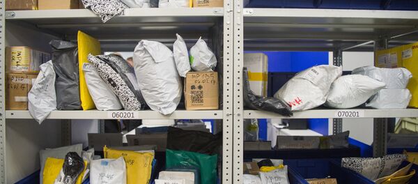 2036年前阿里巴巴将获得20亿顾客 - 俄罗斯卫星通讯社