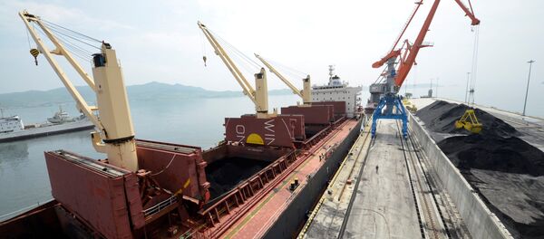 俄副总理称越南将加强与俄远东合作 - 俄罗斯卫星通讯社