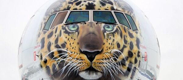 俄罗斯政府提议为远东地区建立航空公司 - 俄罗斯卫星通讯社