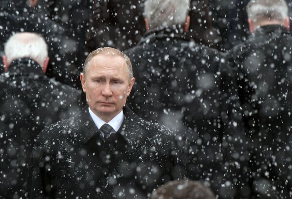 俄罗斯卫星通讯社2月最佳照片 - 俄罗斯卫星通讯社