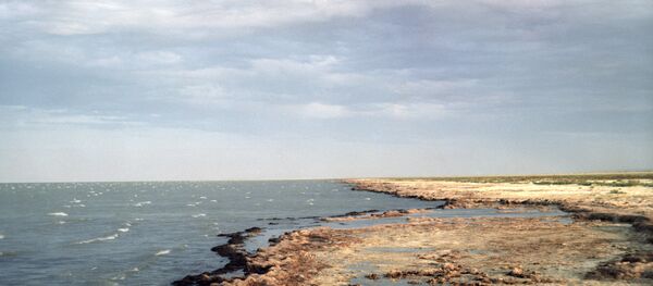 咸海 - 俄罗斯卫星通讯社