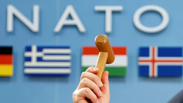 NATO - 俄羅斯衛星通訊社