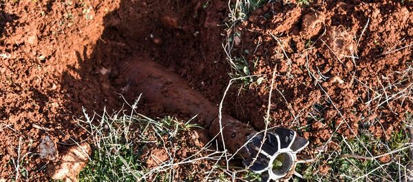 媒体：一枚疑似二战时期炮弹在距日本事故核电站300米处被发现 - 俄罗斯卫星通讯社