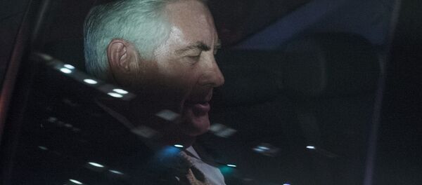 共同社：美国国务卿或将在3月份访问日韩中三国 - 俄罗斯卫星通讯社