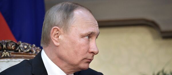 普京 - 俄罗斯卫星通讯社