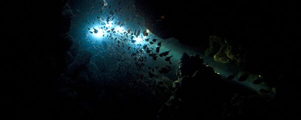 中國將在2020年前建成兩個萬米級載人深潛器 - 俄羅斯衛星通訊社