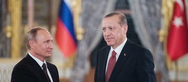 拉夫罗夫：俄罗斯与土耳其两国总统将就叙利亚问题进行讨论 - 俄罗斯卫星通讯社