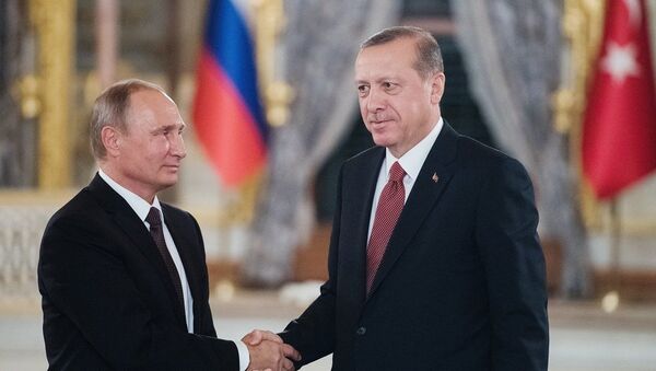 拉夫罗夫：俄罗斯与土耳其两国总统将就叙利亚问题进行讨论 - 俄罗斯卫星通讯社