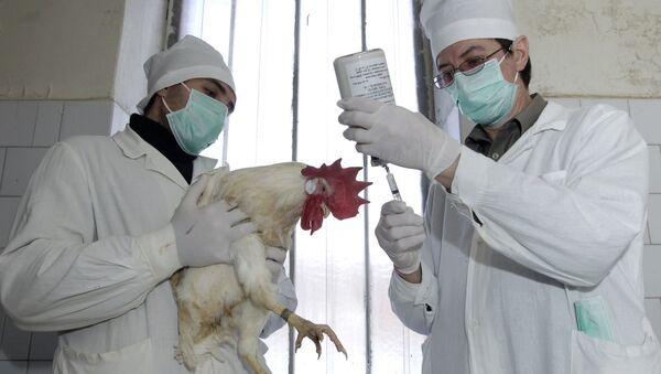 西藏首次发现人类感染H7N9 禽流感病毒病例 - 俄罗斯卫星通讯社
