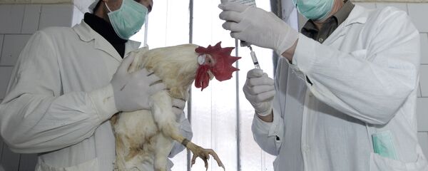 陕西省一名H7N9禽流感感染者死亡 - 俄罗斯卫星通讯社
