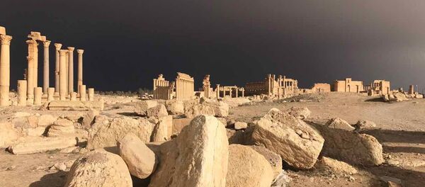 巴尔米拉在被从“伊斯兰国”手中解放后接纳首批游客 - 俄罗斯卫星通讯社