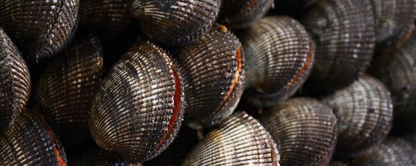 Рыбный рынок Цукидзи в Токио - 俄罗斯卫星通讯社