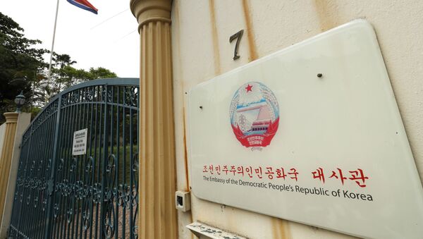 朝鲜大使馆 - 俄罗斯卫星通讯社