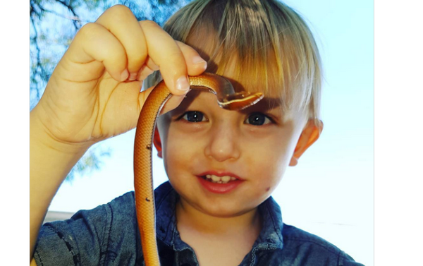 澳洲两岁萌娃玩蛇照走红网络 - 俄罗斯卫星通讯社