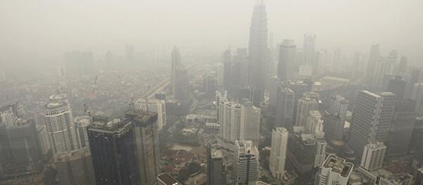 马来西亚今年或简化中国游客签证手续 马来西亚今年或简化中国游客签证手续 - 俄罗斯卫星通讯社