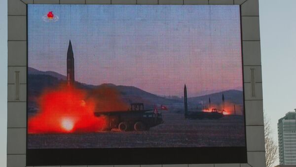 蒂勒森：无核化是朝鲜获得安全和发展的道路 - 俄罗斯卫星通讯社
