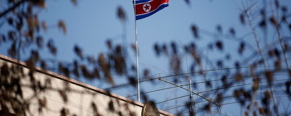 朝鮮因美國在朝鮮半島行動而致函聯合國秘書長 - 俄羅斯衛星通訊社