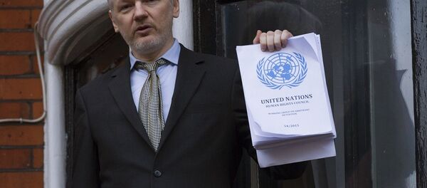 阿桑奇 - 俄罗斯卫星通讯社