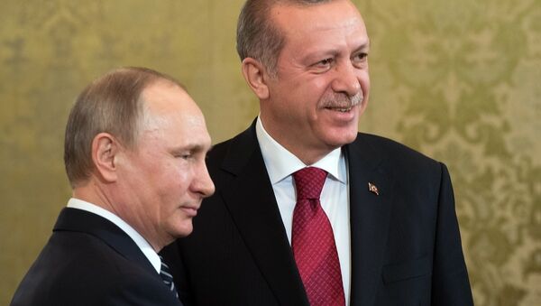 普京：俄方願與土耳其就恐怖分子行蹤交換信息 - 俄羅斯衛星通訊社