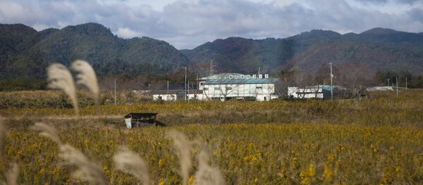 日本福島核電站隔離區50多公頃森林因火災被燒毀 日本福島核電站隔離區50多公頃森林因火災被燒毀 - 俄羅斯衛星通訊社