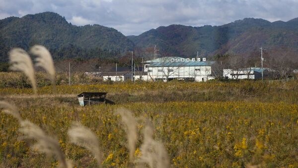 Зона отчуждения после взрыва на АЭС Фукусима в Японии - 俄罗斯卫星通讯社