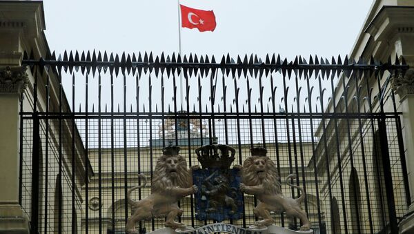 伊斯坦布爾示威者在荷蘭領事館插上土耳其國旗 - 俄羅斯衛星通訊社