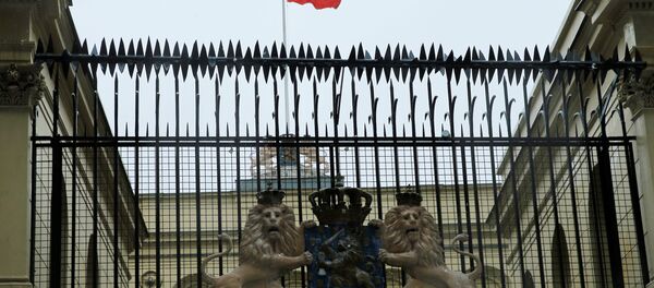 伊斯坦布尔示威者在荷兰领事馆插上土耳其国旗 - 俄罗斯卫星通讯社