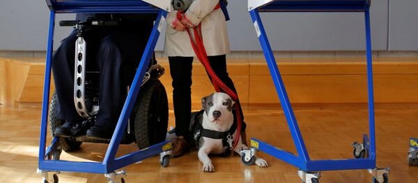 民调:多数美国人认为其他国家试图干预美国会选举 民调:多数美国人认为其他国家试图干预美国会选举 - 俄罗斯卫星通讯社