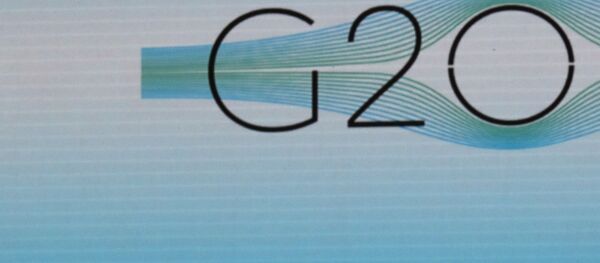 G20峰会 - 俄罗斯卫星通讯社