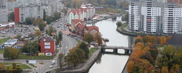俄国防部评突破加里宁格勒防空系统的计划：不怕任何侵略 - 俄罗斯卫星通讯社